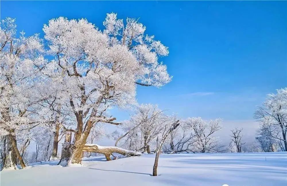 瓊英●唐裴夷直《和周侍御洛城雪》:天街飛轡踏瓊英,四顧全疑在玉京.