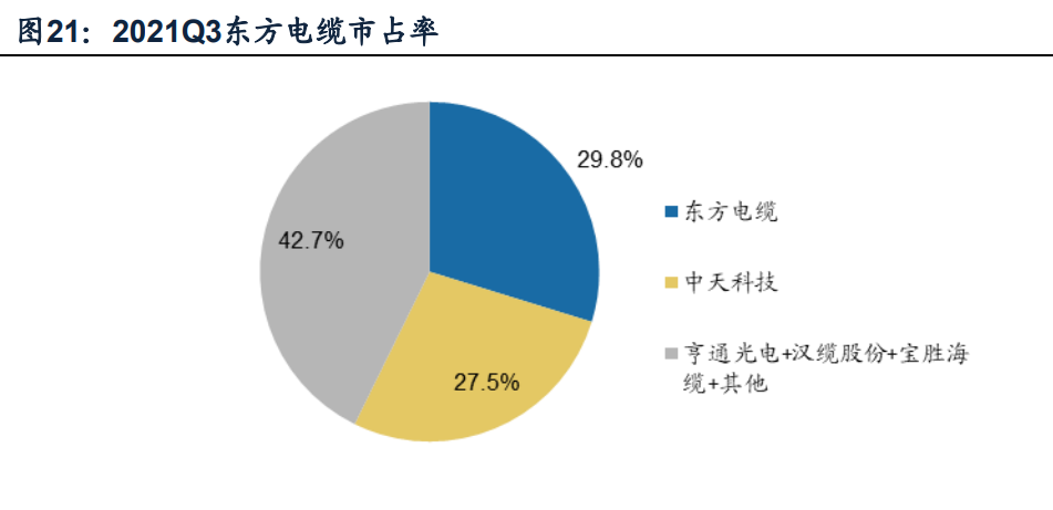 海上电缆行业龙头东方电缆研究报告