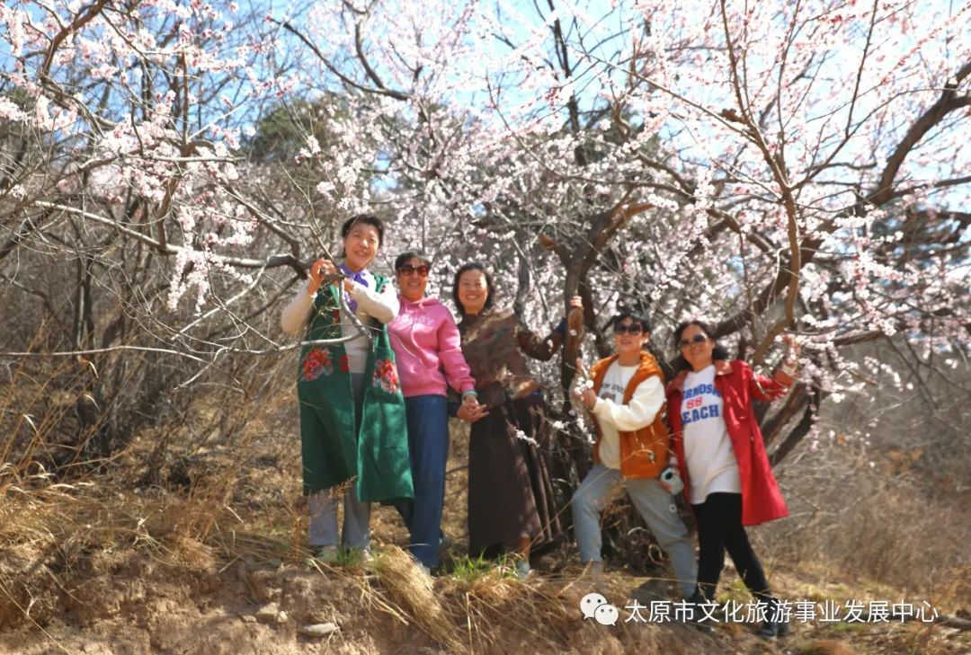 线上展览|“山河春意 锦绣太原——花的世界”主题摄影线上图片展（十九）