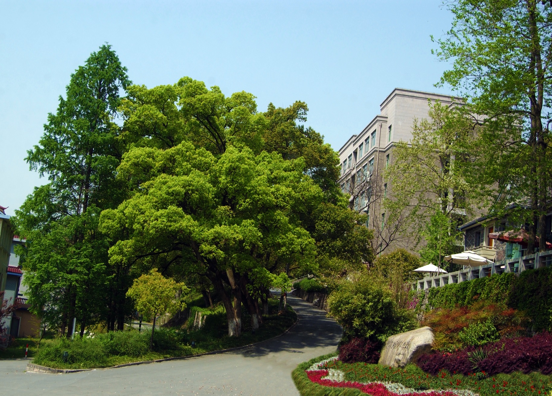 了解清楚这五点，报考中国美术学院附属中等美术学校不再难