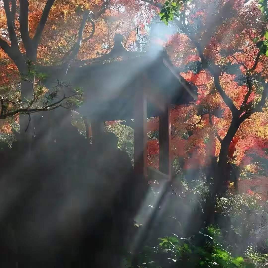 越是高智商的人，越不喜歡與人交往