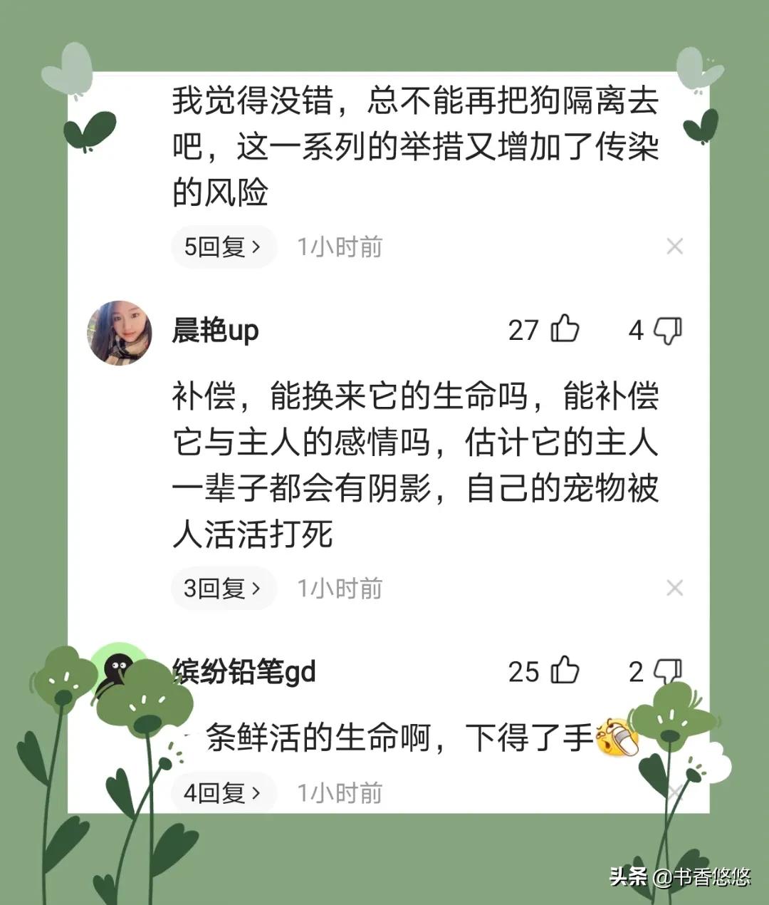 上海一柯基犬被拖路边扑杀，主人情绪崩溃，多次追问相关人员