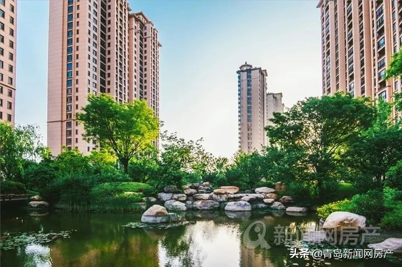 天天3·15|“顶级豪宅”青岛星河湾漏雨严重，开发商、物业长达半年无反馈