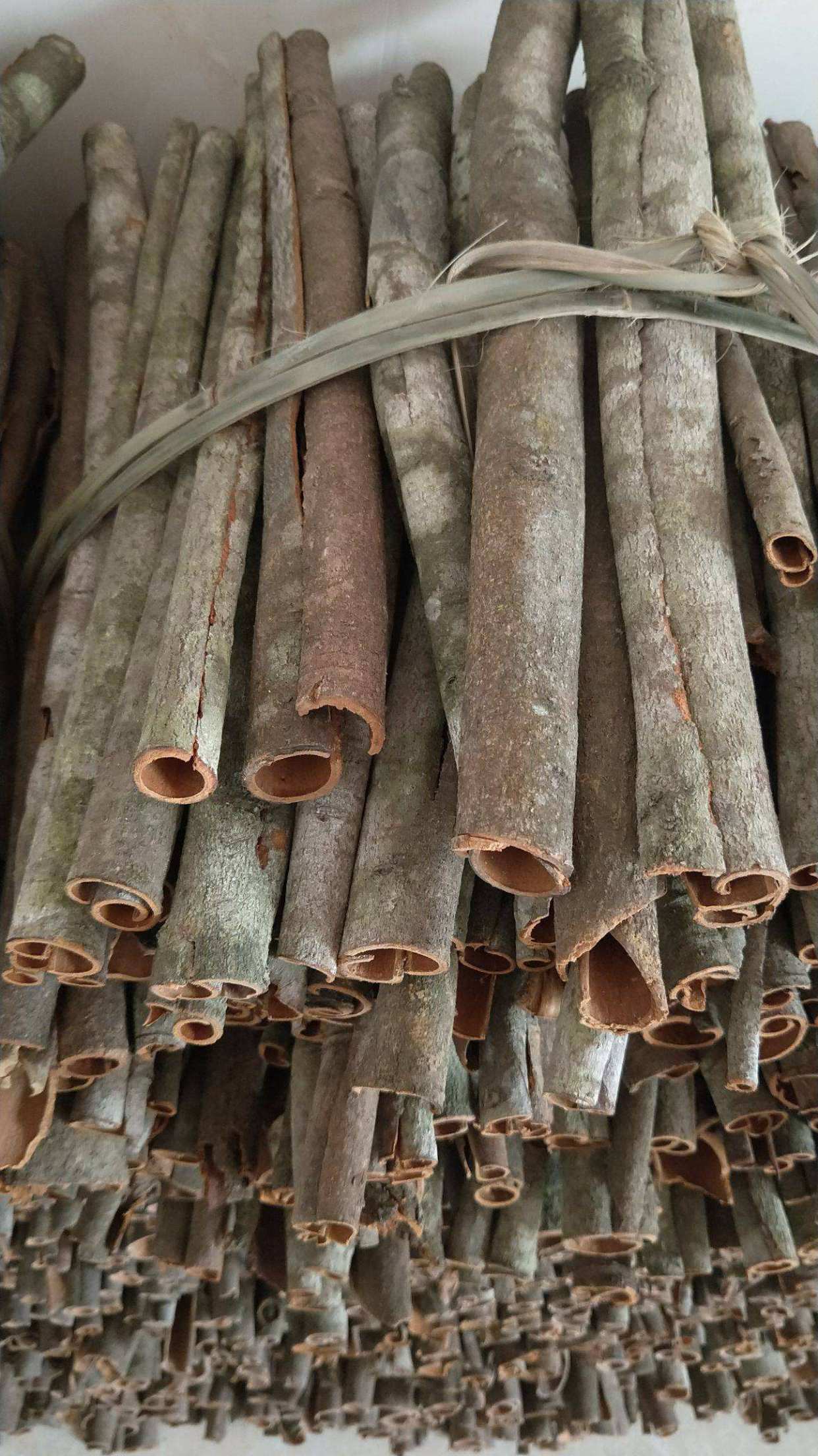 桂皮是什么树的皮(关于桂皮的三种说法介绍)