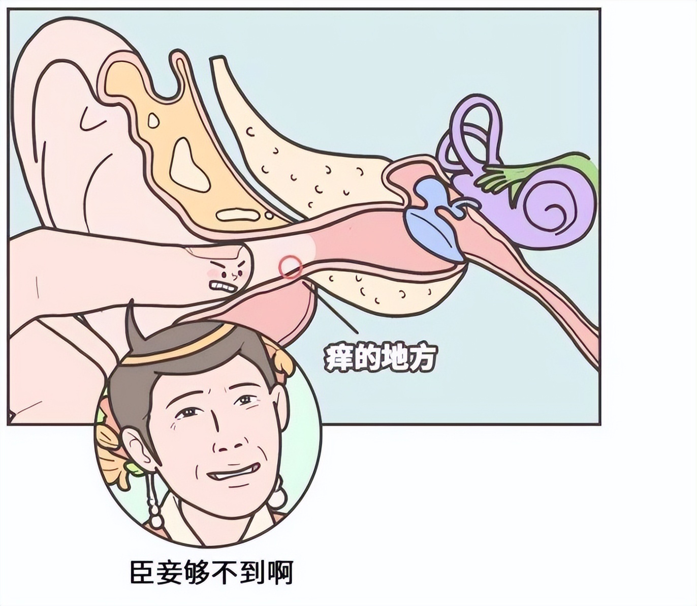 耳朵奇痒无比，掏了也不管用？4种疾病信号需排除，建议尽快就医