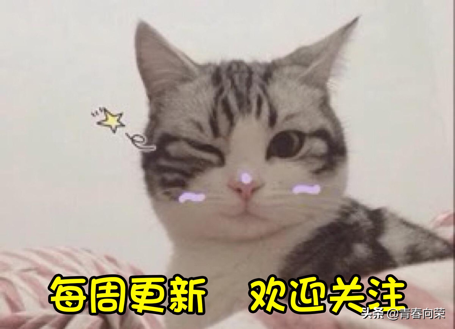 壮志凌云2火爆全球，推荐几部军事迷必看的空战电影