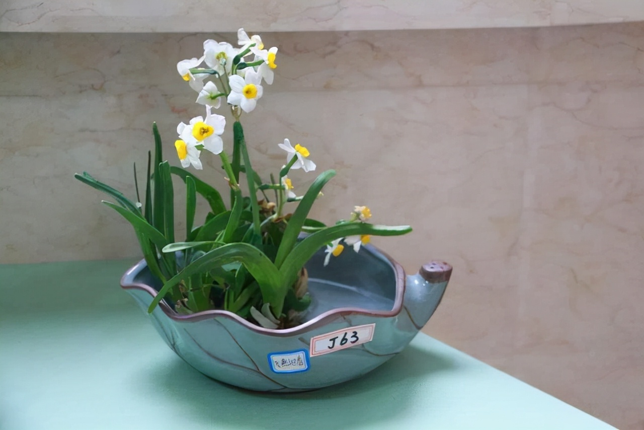 桃花的花语是什么（你几月出生就是哪种花陪着你）