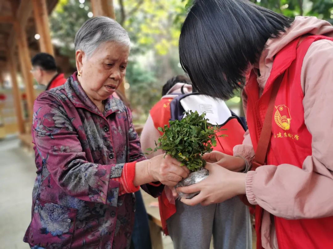 不亦乐乎！养老院可以种菜了