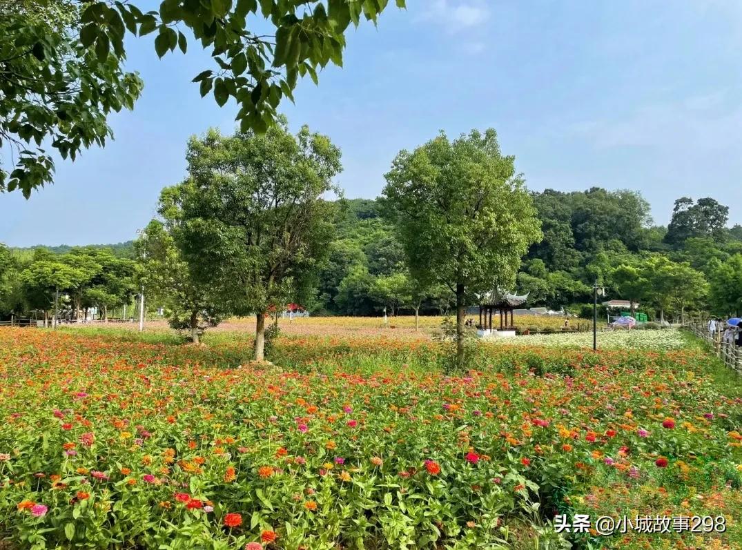 老山脚下的一个小村庄，溪水长流，炊烟袅袅——最美不老村