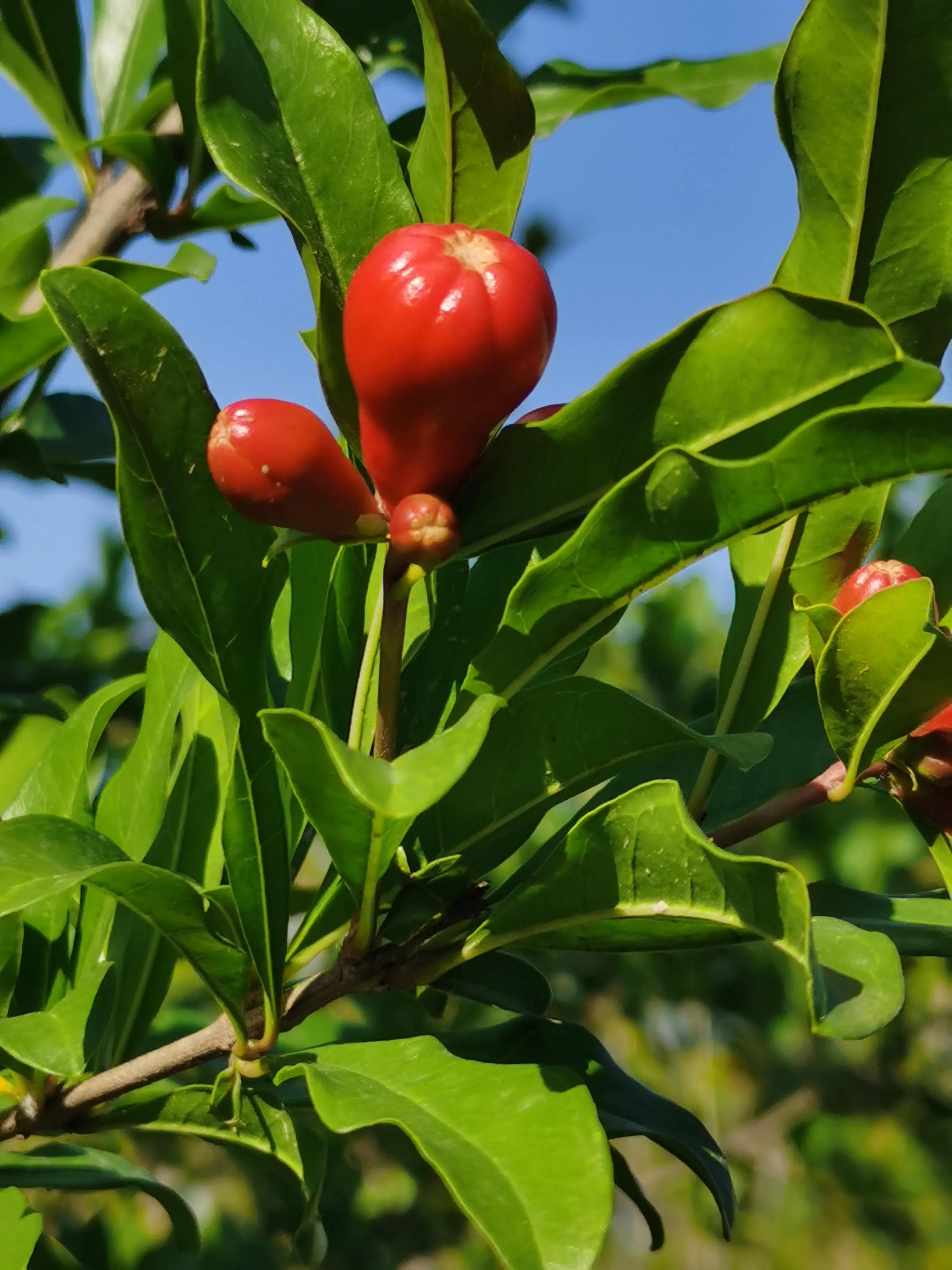 起诉状等法律文书小大全