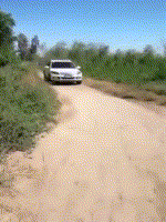 我妈让我把鱼解冻，结果打游戏没注意煮熟了怎么办？