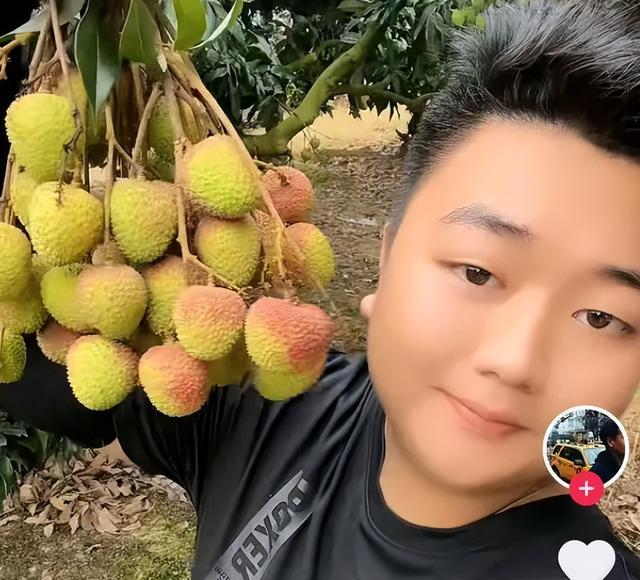 15岁全红婵真懂事！哥哥卖货妹妹捧场，爸爸开女儿豪车带兄弟兜风