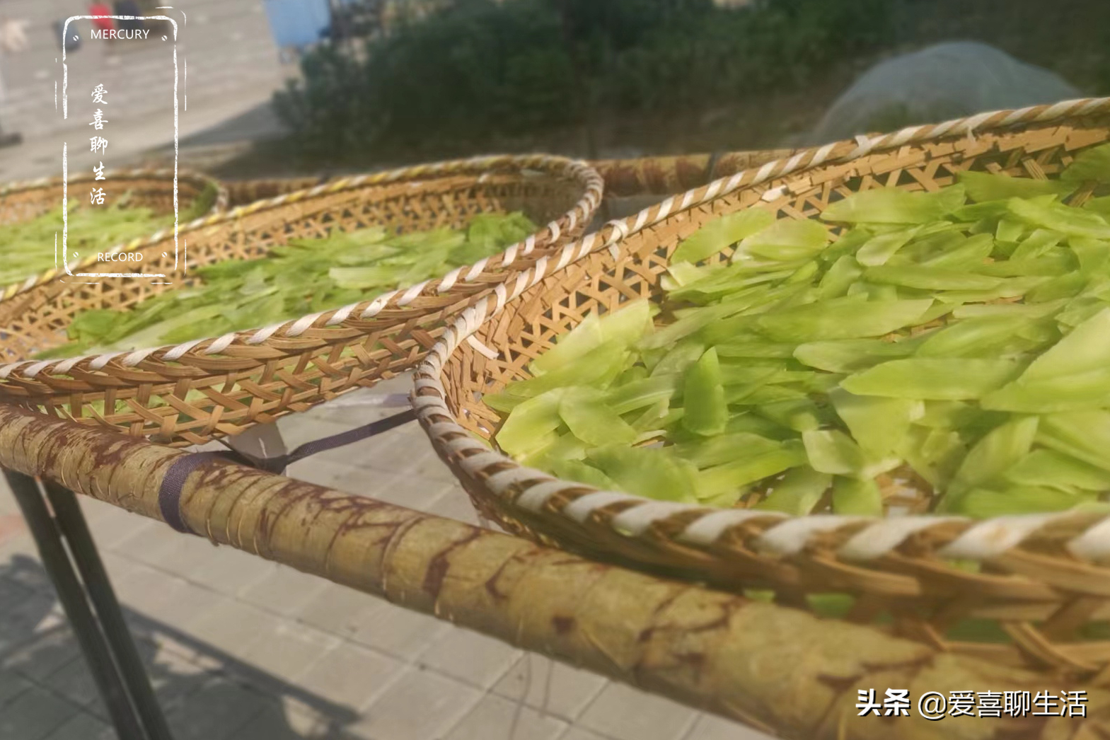 莴笋干的晒制方法（这菜晒干后比新鲜的还好吃）