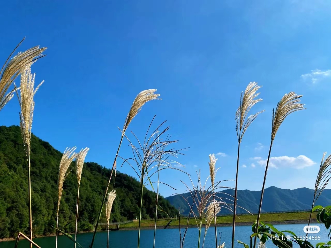 山水风光，惊艳绝美，杭州这8处宝藏水库一定要打卡