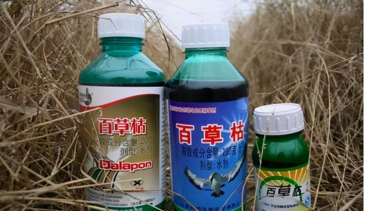 姐夫诱骗18岁女孩喝百草枯！无冤无仇，看似意外实则早有预谋