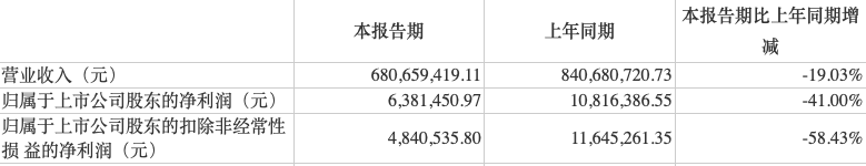 黑芝麻业绩下滑且存食安问题 会计师专项说明与年报有差异