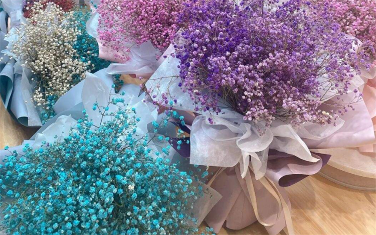 盘点：6种满天星颜色的寓意，最后一种颜色的满天星，生活中少见