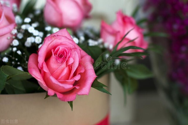 唯美的玫瑰花,我想跟最爱的人说