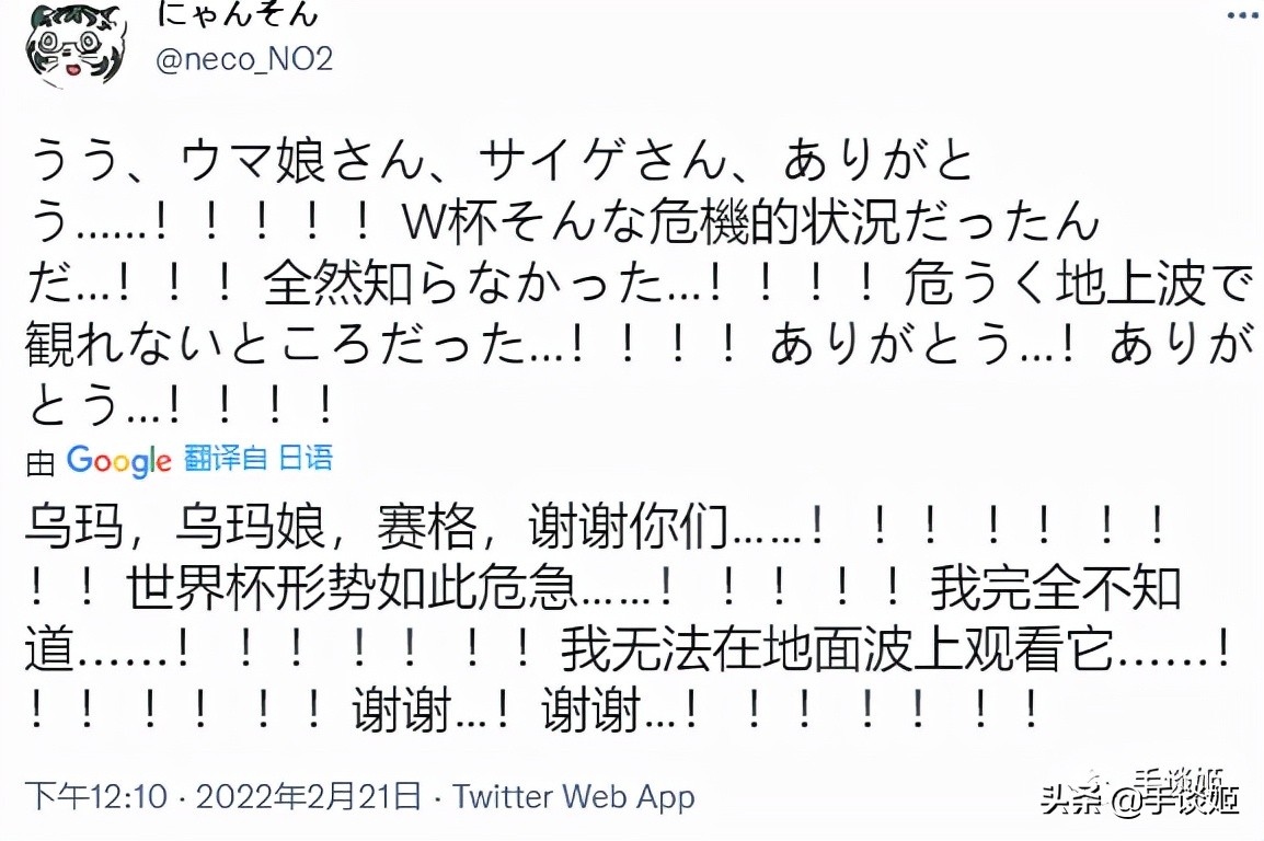 赛马世界杯游戏图片(多亏了《赛马娘》手游，日本网友才能看上22年世界杯？)