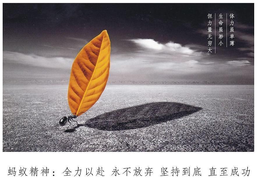 慢读双语短文005 THE FAITH YOU NEED