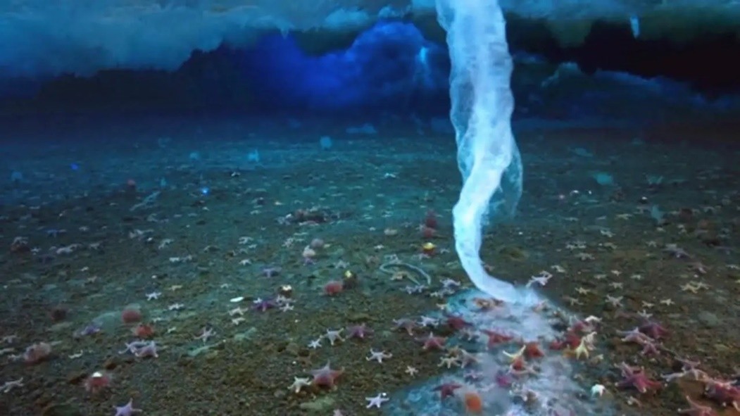 地球上最神秘的两个地方，南极北极有何不同？人类又有什么发现？