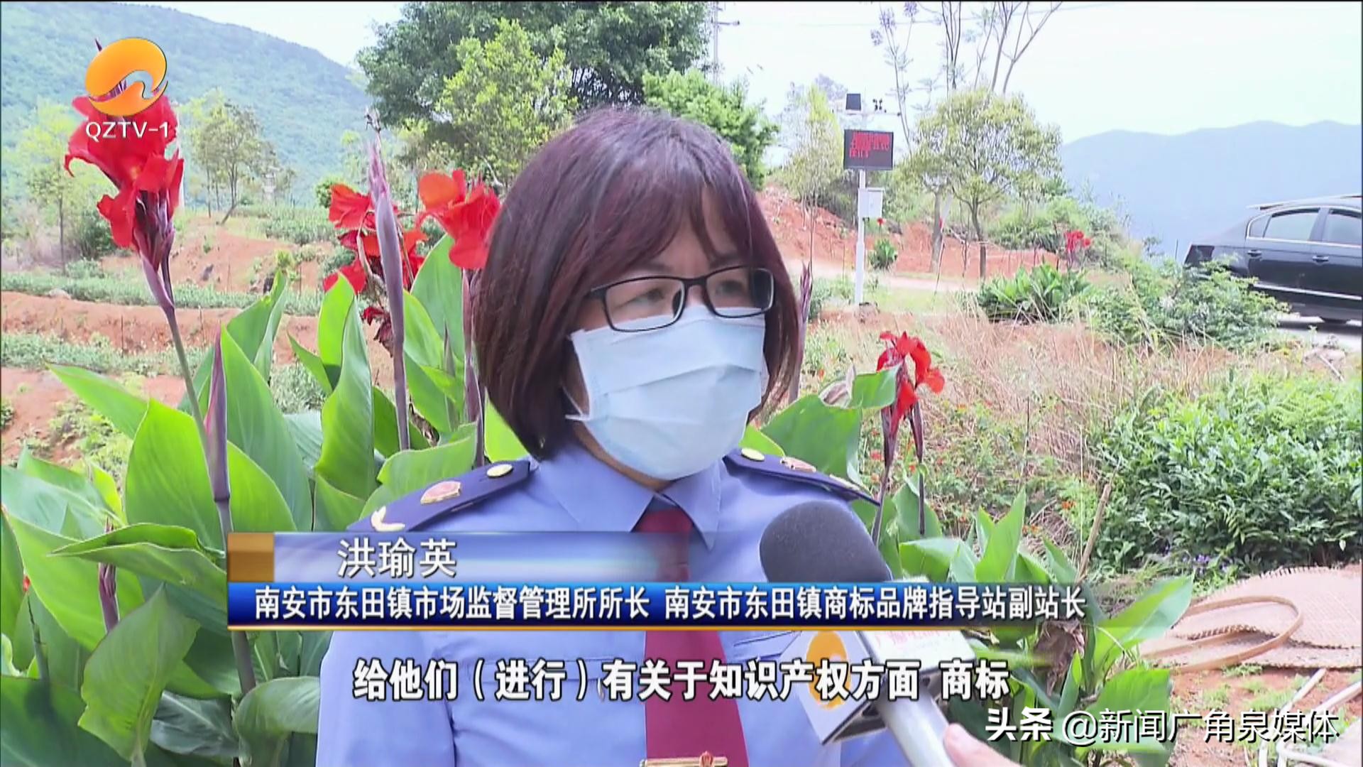 泉州基层商标品牌指导站成立 打通商标品牌服务