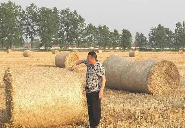 农民变身“经纪人”,秸秆囤1年就能赚600万?看懂的提前行动