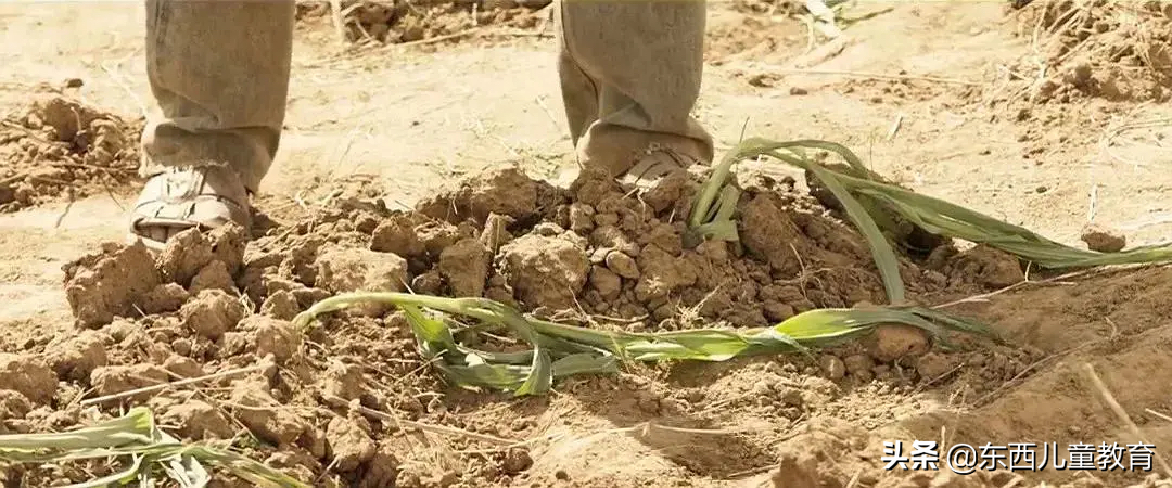 我挖到一部超棒的电影！娃看完大受震撼，主动说要好好学习