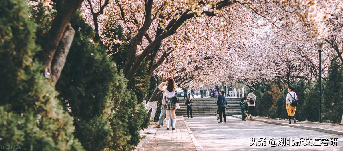 山东科技大学考研难吗（位于考研人数全国第一的大省）