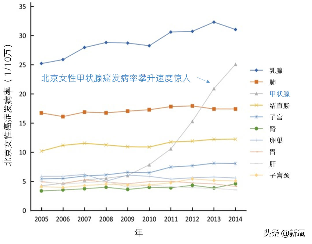 投胎这事真是被她拿捏了，合理怀疑在娘胎里她给自己捏了脸