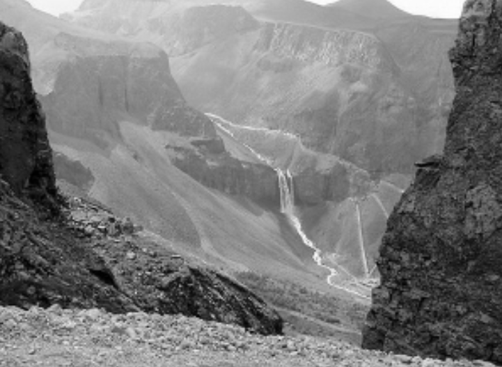 86年严打，军警全力追捕的东北“三张兄弟”，是何身份，犯了啥罪