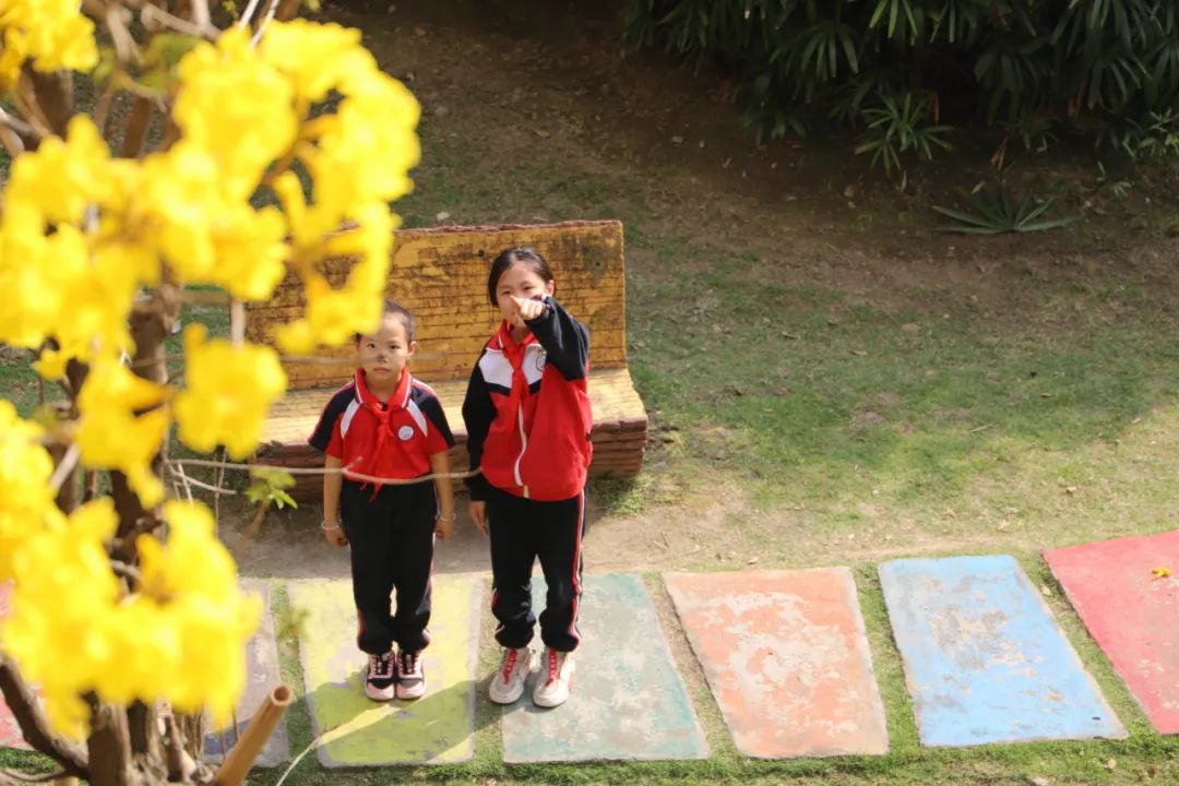 张槎有个“绿色学校”，学生用实际行动妆点美丽校园→