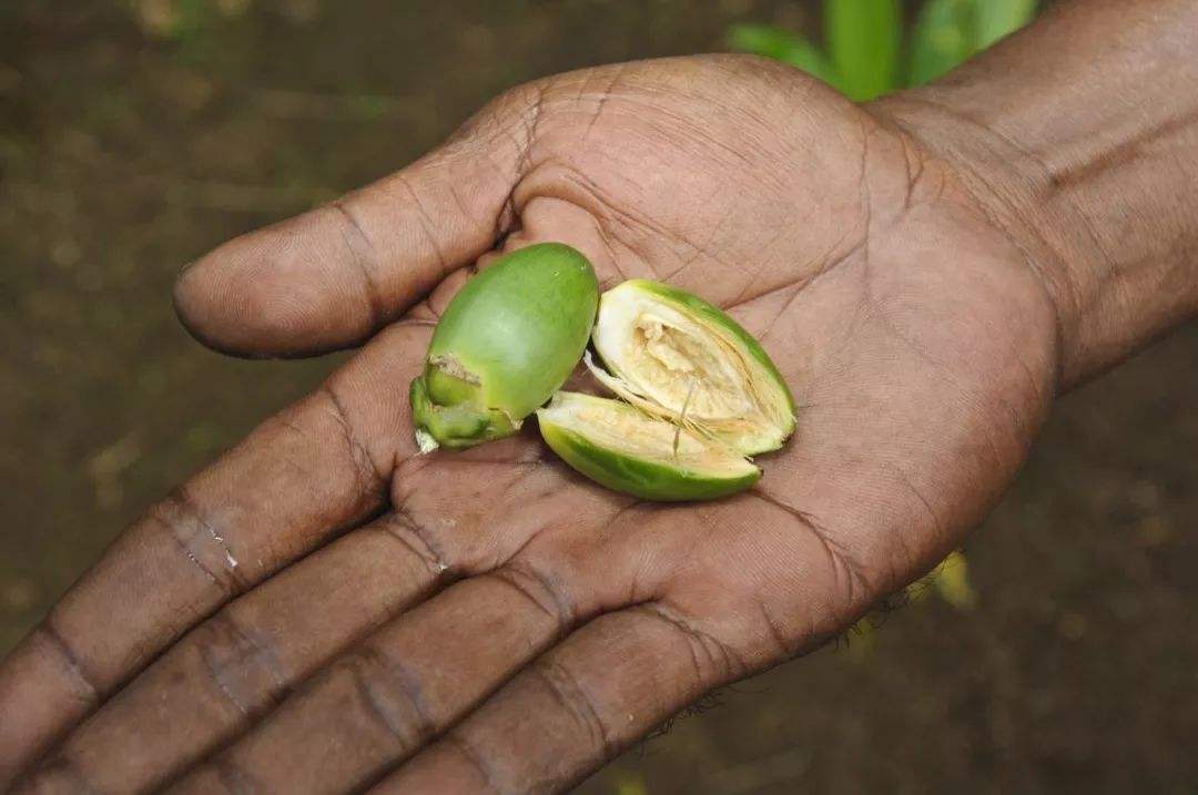嘴巴莫名出现这3种问题，说明你要当心了，可能是生病的信号