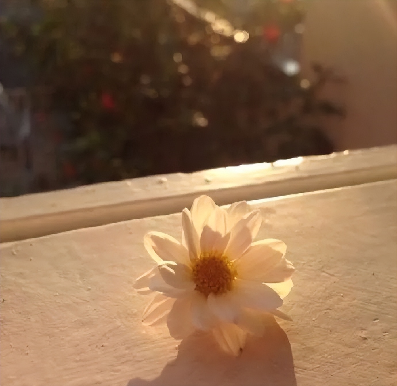 心灰意冷的痛心句子