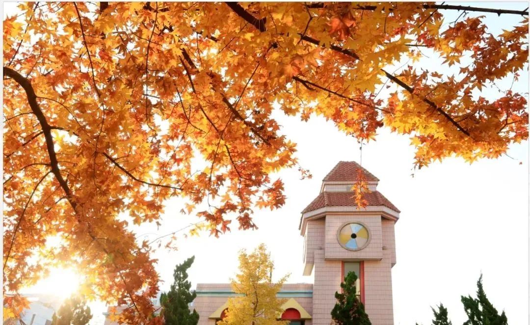 这所热度爆棚的青岛国际学校秋季招生正在进行中......