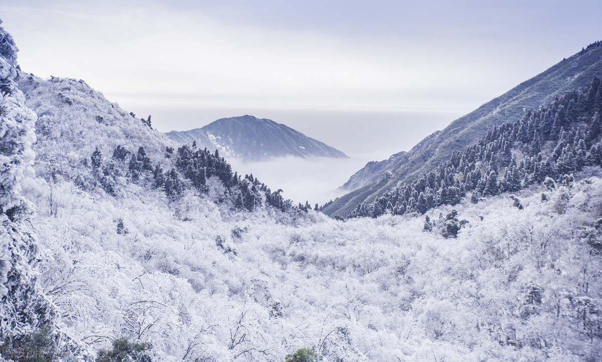五岳归来不看山五岳是指哪五座山？看了最美的山，其他的不用看了