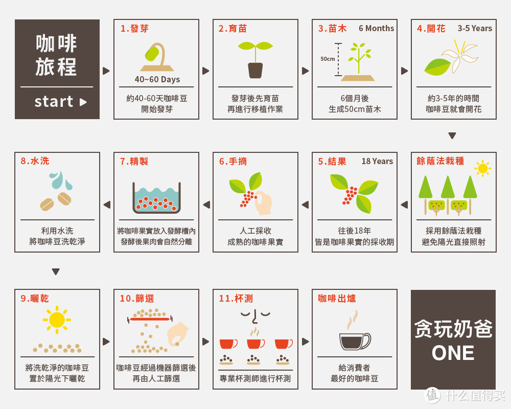 「从零开始玩咖啡」从未知到迷恋，保姆级入坑攻略