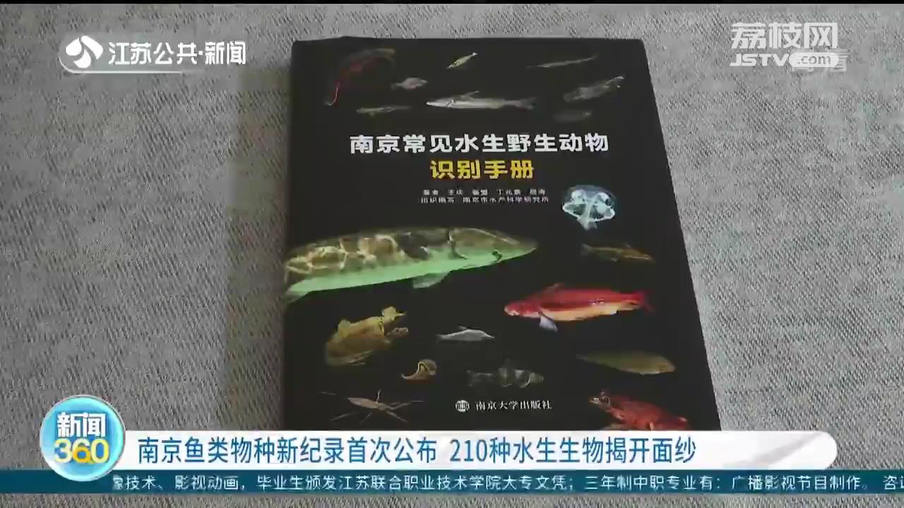 南京鱼类物种新纪录首次公布 210种水生生物揭开面纱