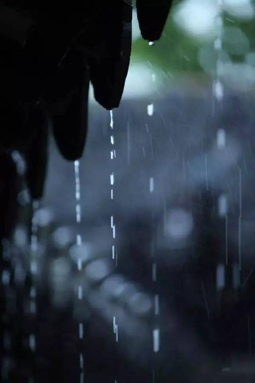 关于雨的诗歌散文(关于雨的诗歌散文叙述文)
