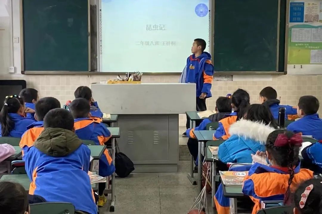 双减不简 综合实践 |双流区棠湖小学综合实践活动课程系列报道