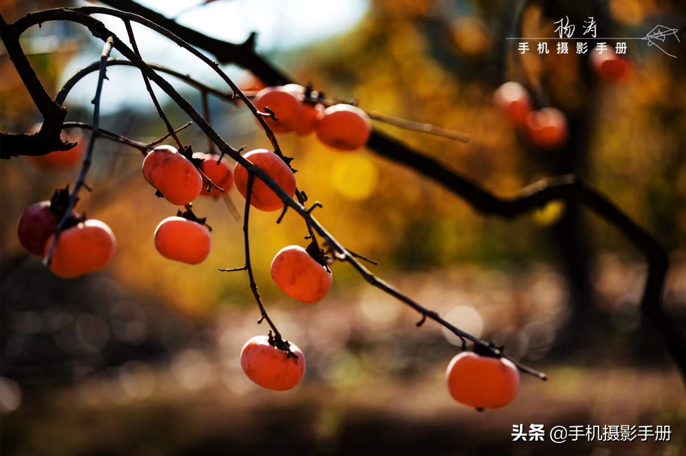 有风景，有摄影，还有爱人相随——我的2021年终盘点