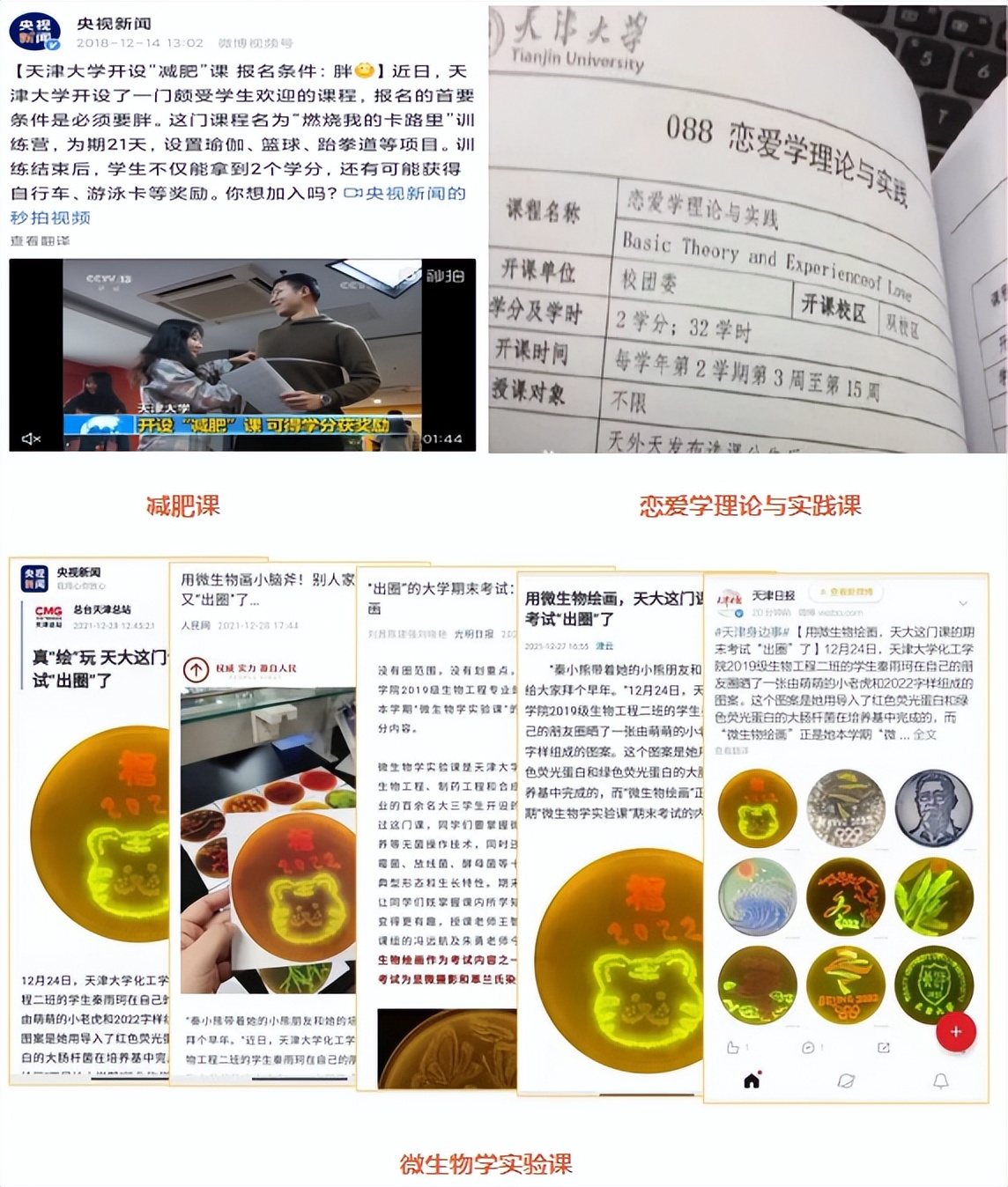 报考指南！天津大学好不好？哪里好？有多好？这4个“高分回答”值得一看！