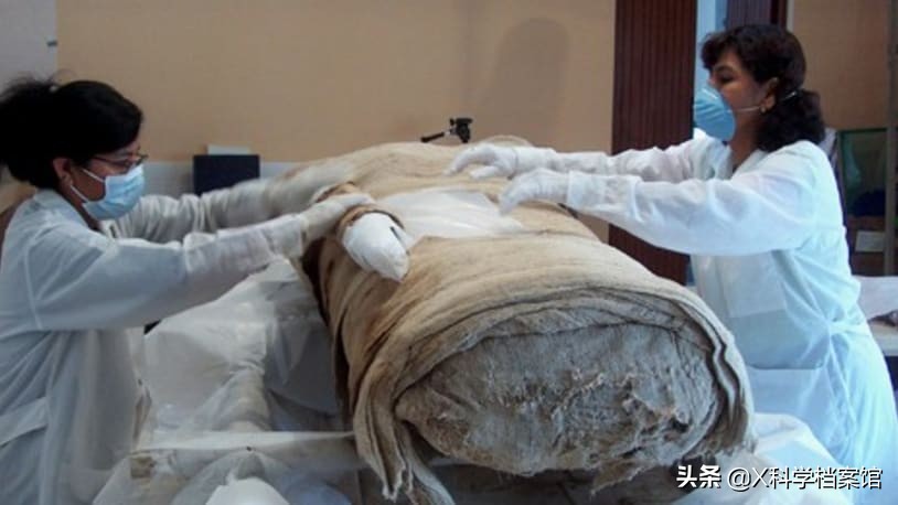 脑浆真实图片(61岁患癌老人捐躯) - 赤虎壹号