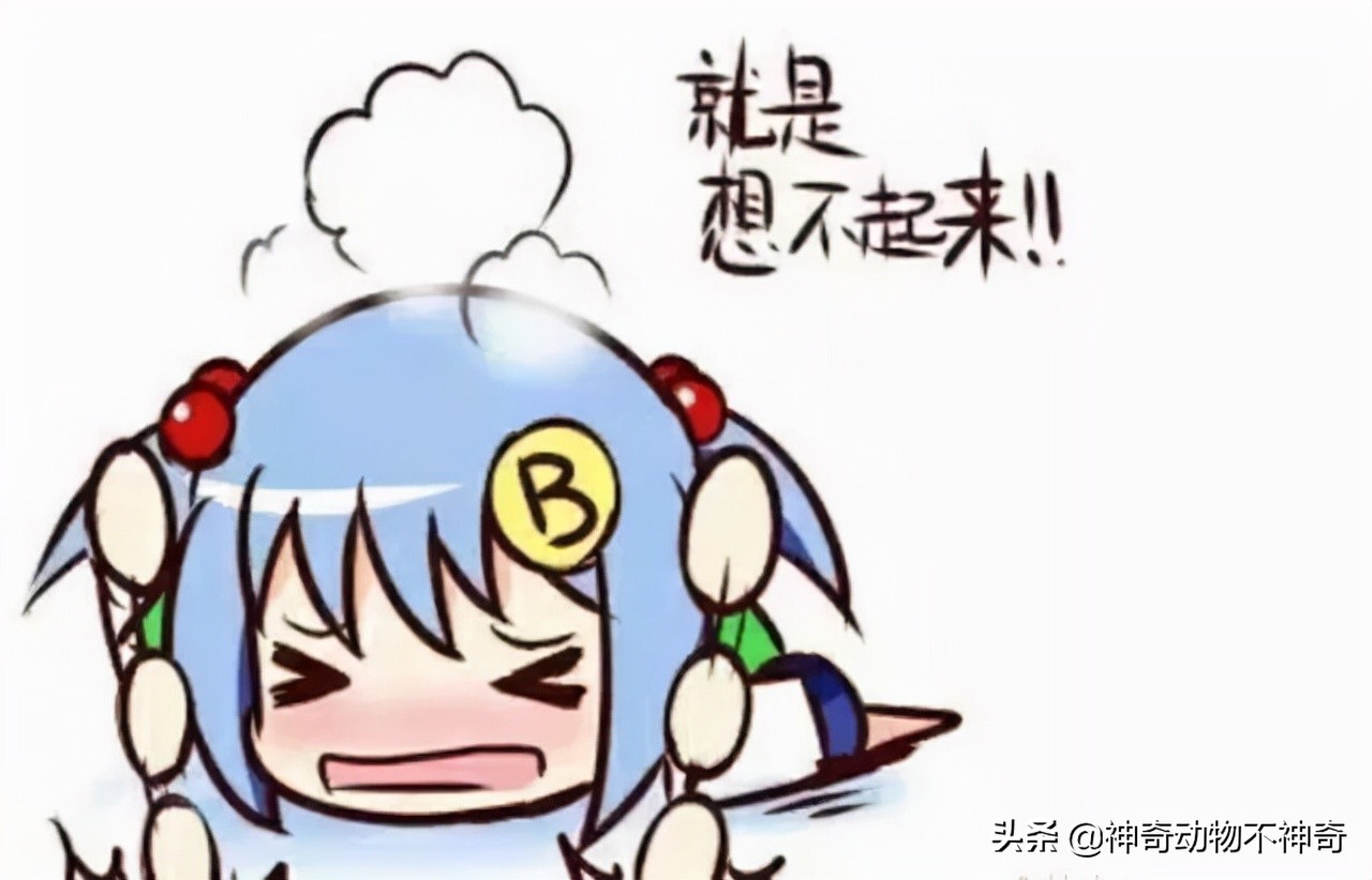 致命毒蝎号称“穷人的毒品”，巴铁还把它当烟抽，它有什么魔力？