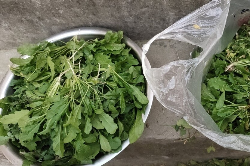 蔬菜保鲜：别直接放冰箱，分享4种蔬菜保鲜法，放一年都不会坏