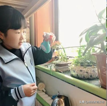 周播报 | 潍坊校园新闻（03.07—03.13）