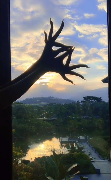 “天下第一舞指”密加：全网最会挣钱的一双手，一场直播赚200万