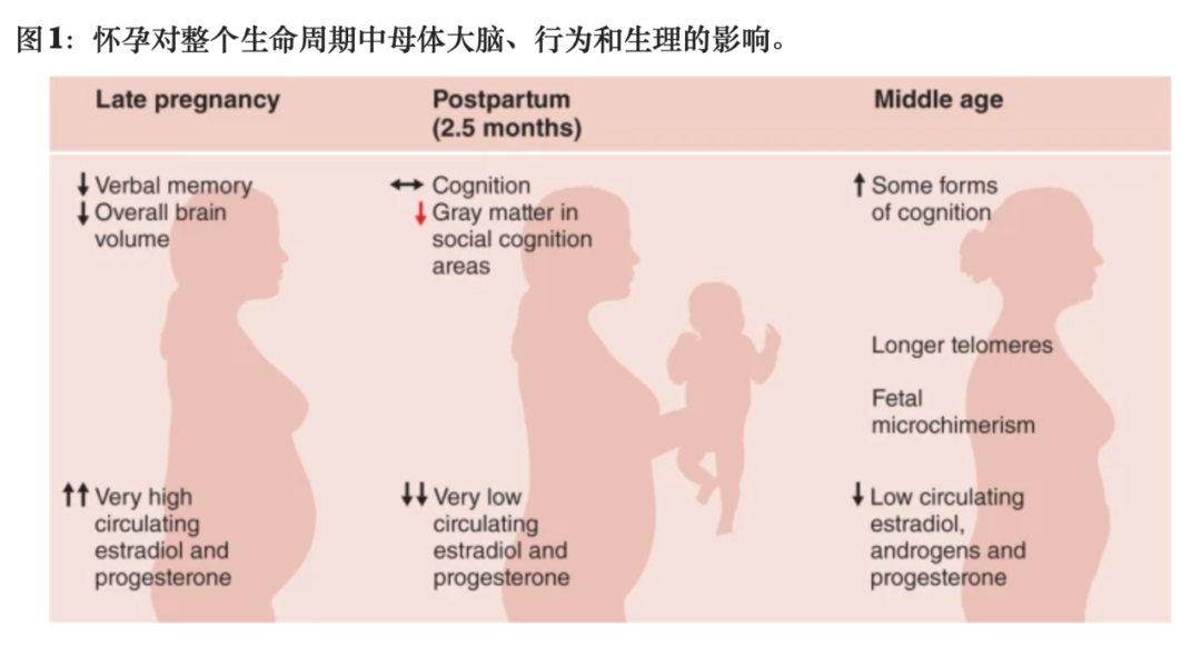 「一孕傻三年」害惨了多少母亲？
