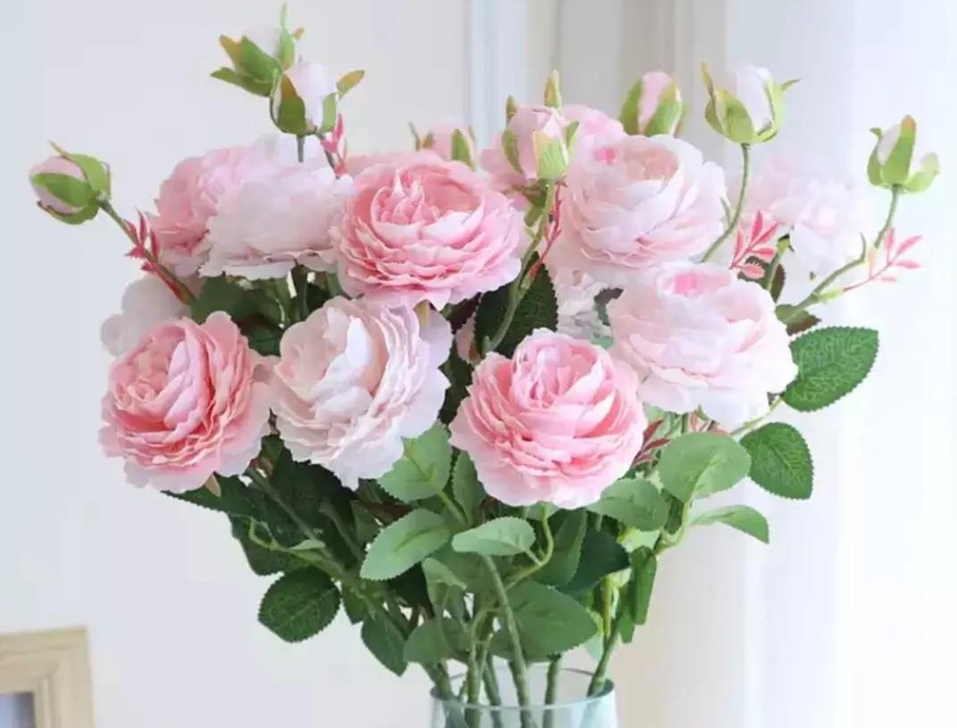 《增广贤文》中有关处世态度的10句话