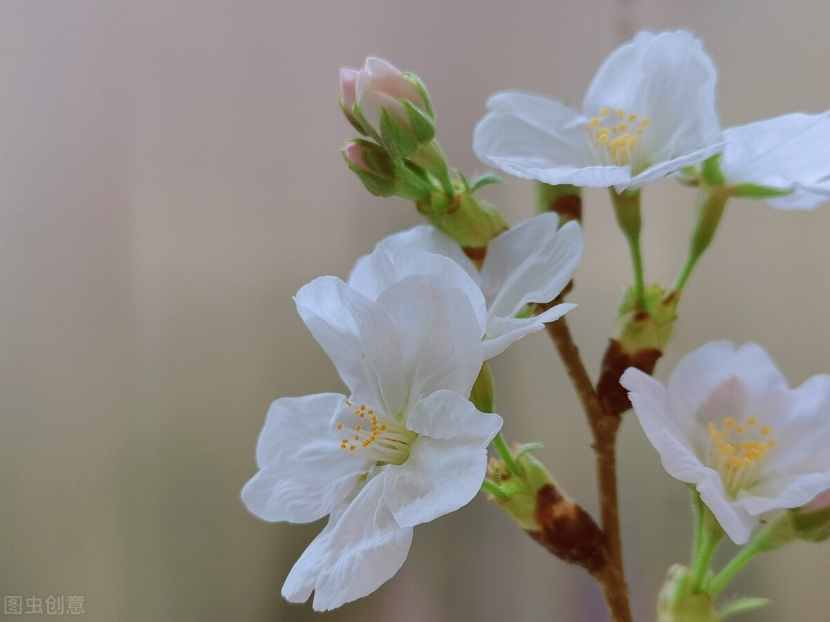 自己的路自己走，只有自己最靠谱